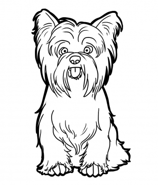 Dog Png Clipart (30 Image) free png download