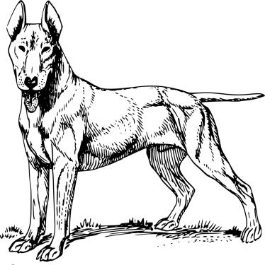 Dog Png Clipart (30 Image) free png download