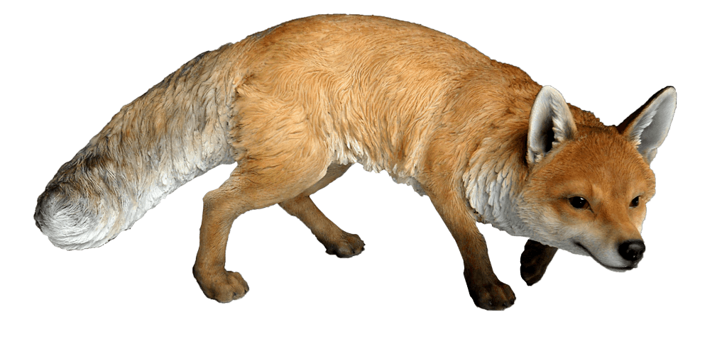 Fox PNG Clipart (14 Image) free png download