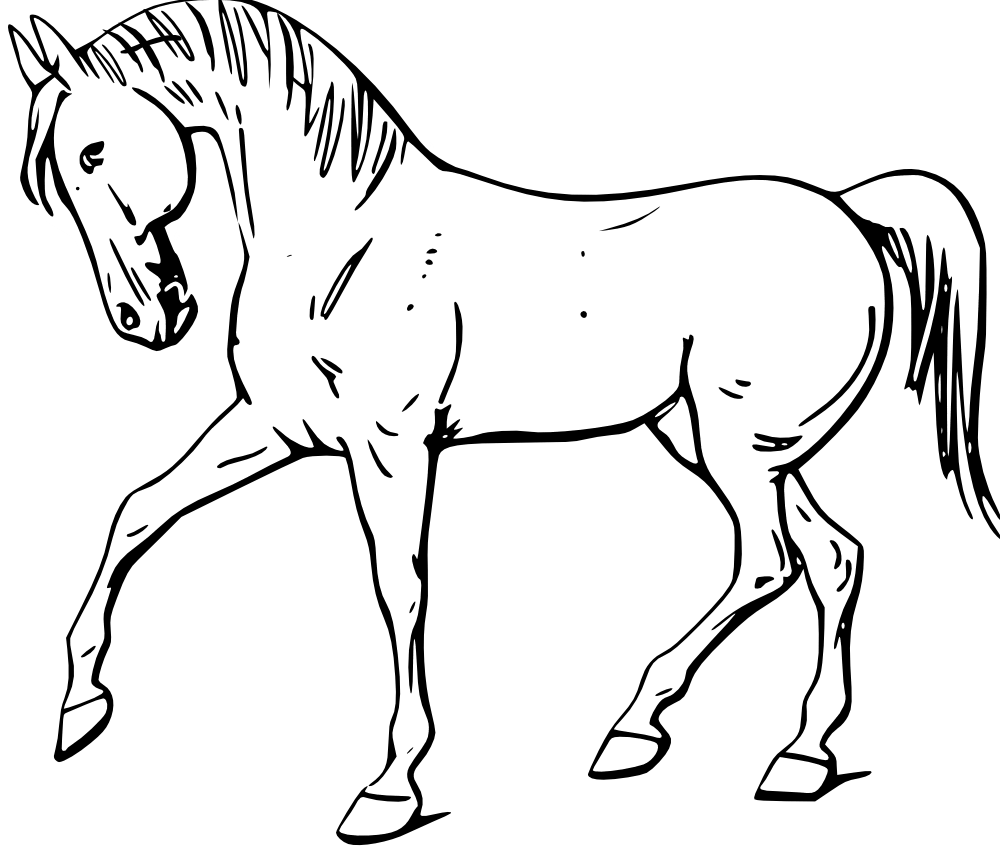 Horse PNG Clipart (24 Image) free png download