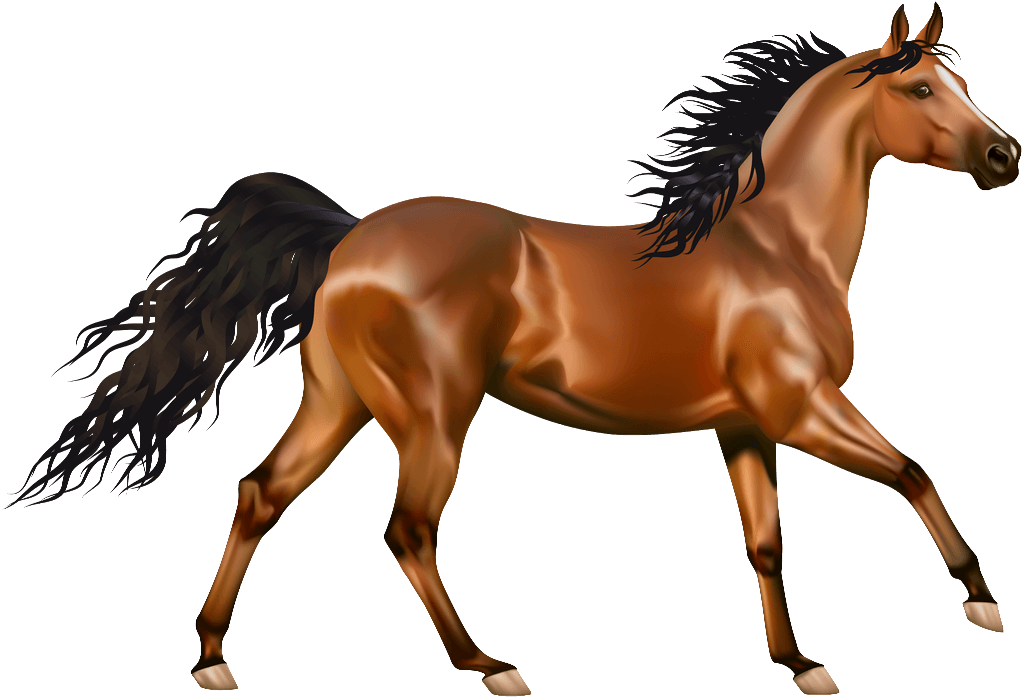 Horse PNG Clipart (24 Image) free png download