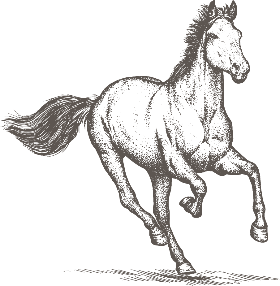 Horse PNG Clipart (24 Image) free png download
