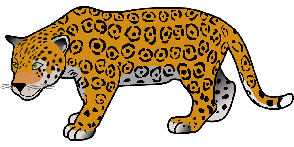 Jaguar Png Clipart (8 Image) free png download