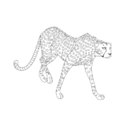Jaguar Png Clipart (8 Image)