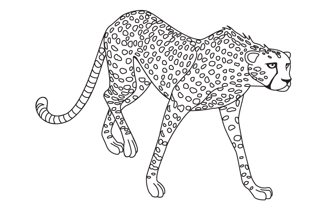 Jaguar Png Clipart (8 Image) free png download