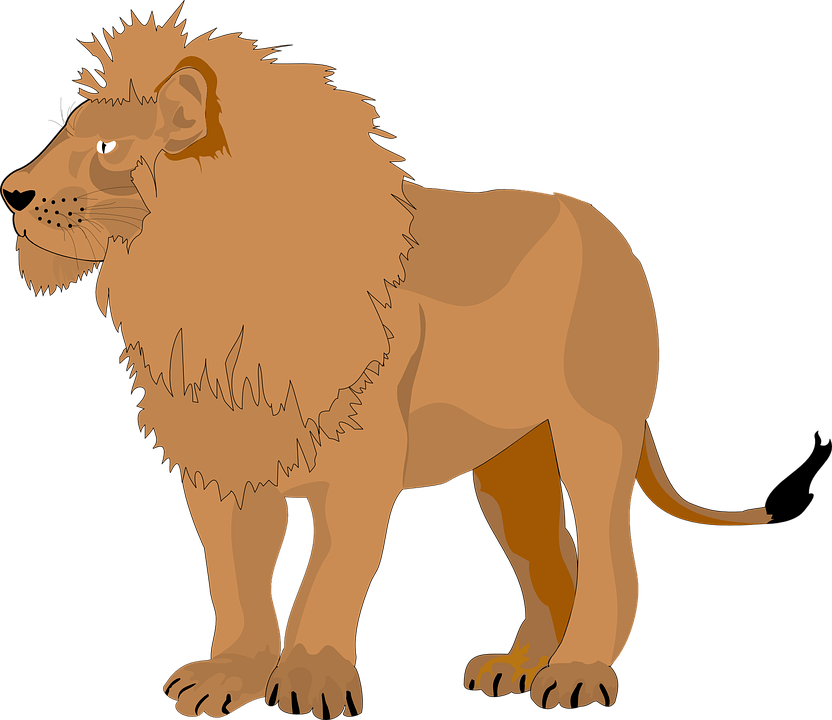 Lion Png Clipart (32 Image) free png download
