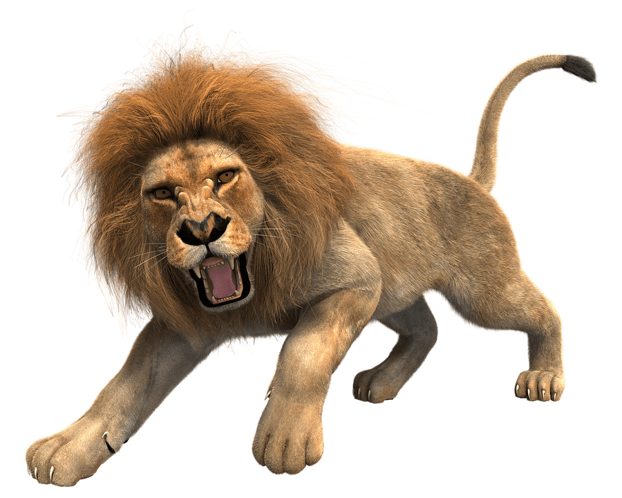 Lion Png Clipart (32 Image) free png download