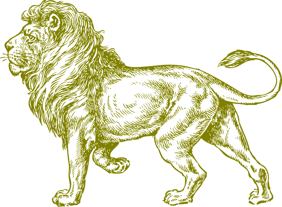 Lion Png Clipart (32 Image) free png download