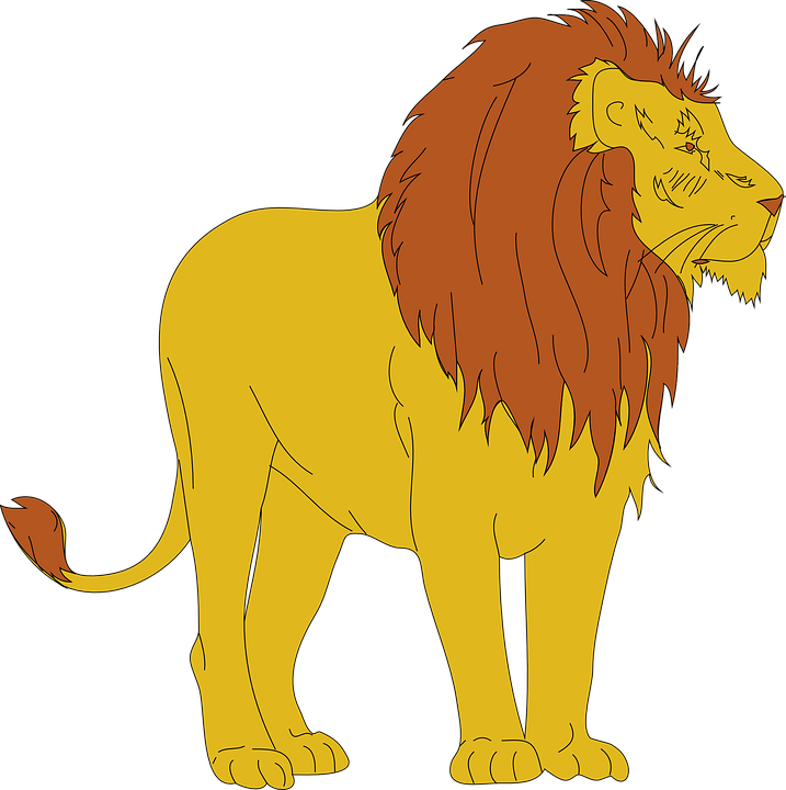 Lion Png Clipart (32 Image) free png download