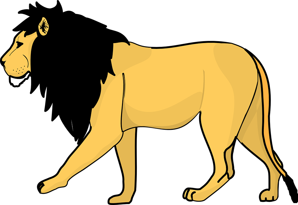 Lion Png Clipart (32 Image) free png download