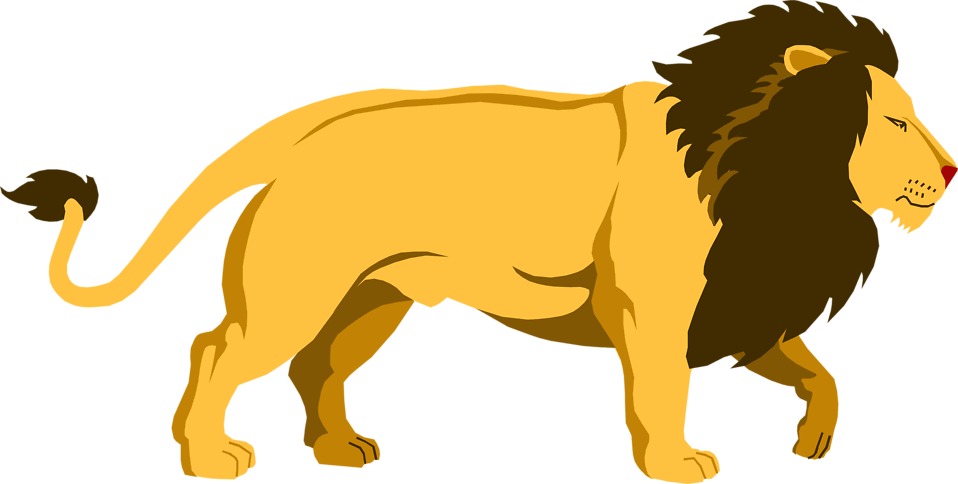 Lion Png Clipart (32 Image) free png download