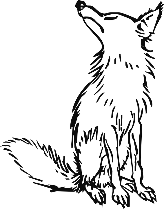 Wolf Png Clipart (23 Image) free png download
