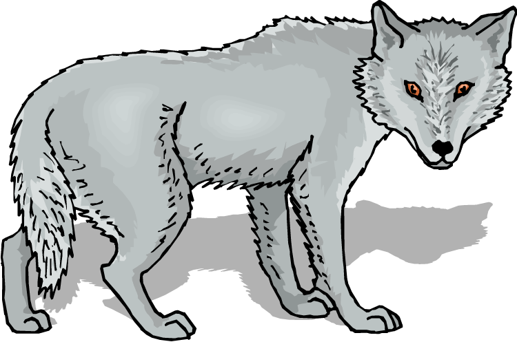 Wolf Png Clipart (23 Image) free png download