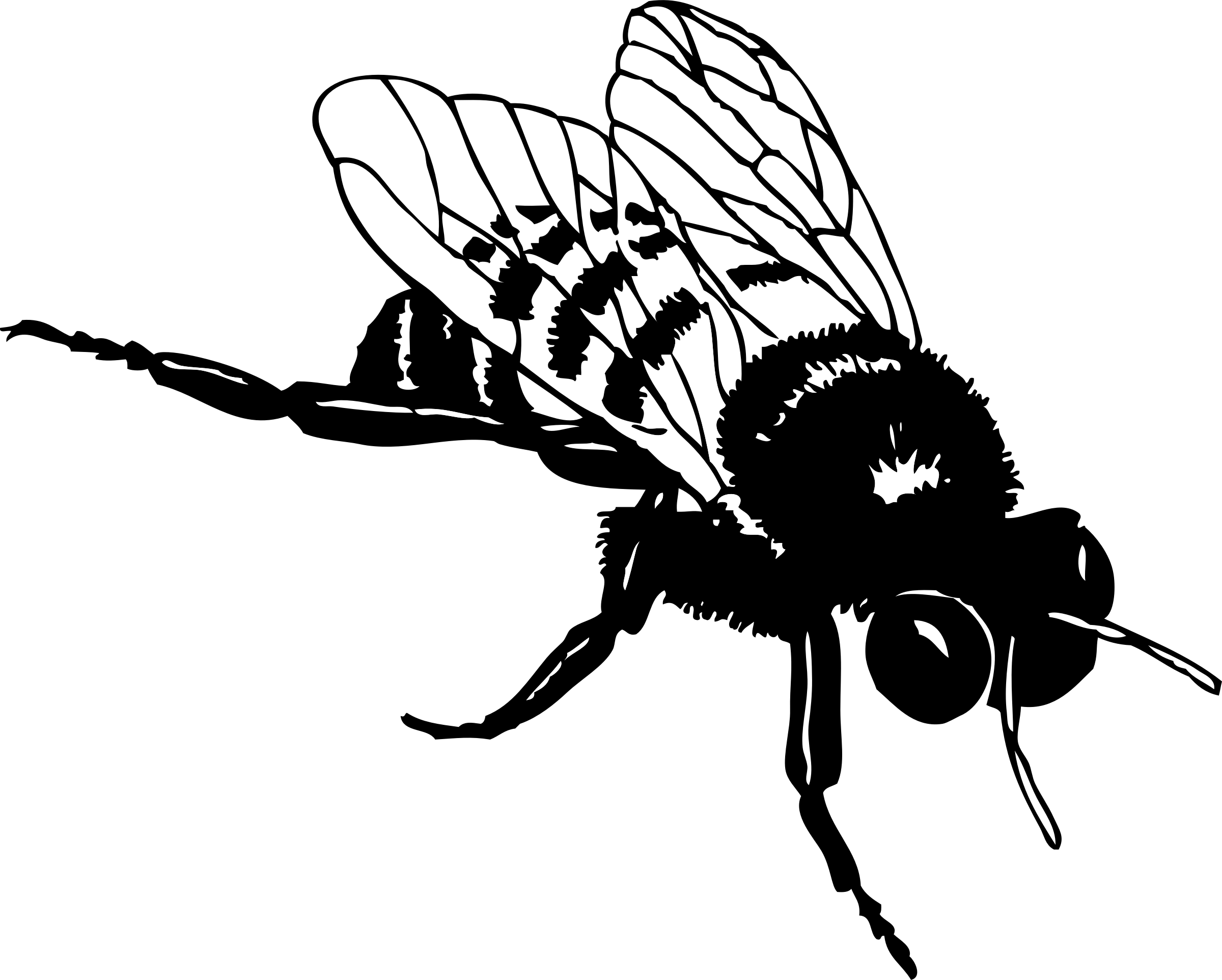 Bee Png Clipart (16 Image) png
