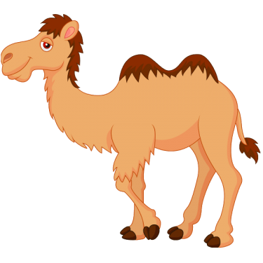 Camel PNG Clipart (28 Image) free png download