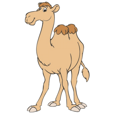 Camel PNG Clipart (28 Image) free png download