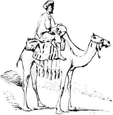 Camel PNG Clipart (28 Image) free png download