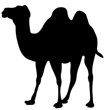 Camel PNG Clipart (28 Image) free png download
