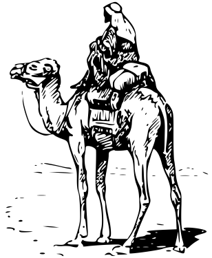 Camel PNG Clipart (28 Image) free png download