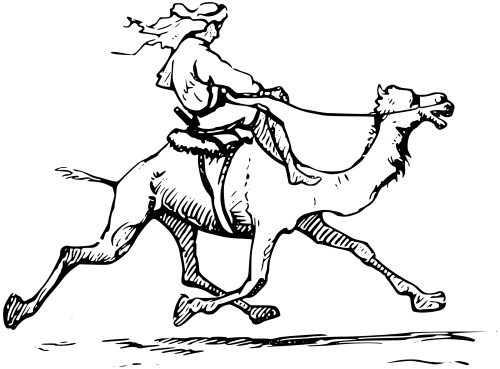 Camel PNG Clipart (28 Image) free png download