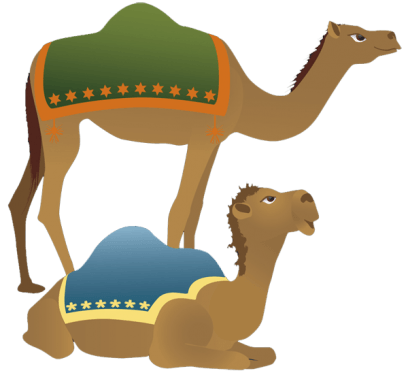 Camel PNG Clipart (28 Image) free png download