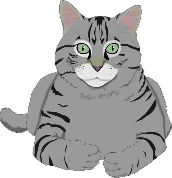 Cat PNG Clipart (28 Image) free png download