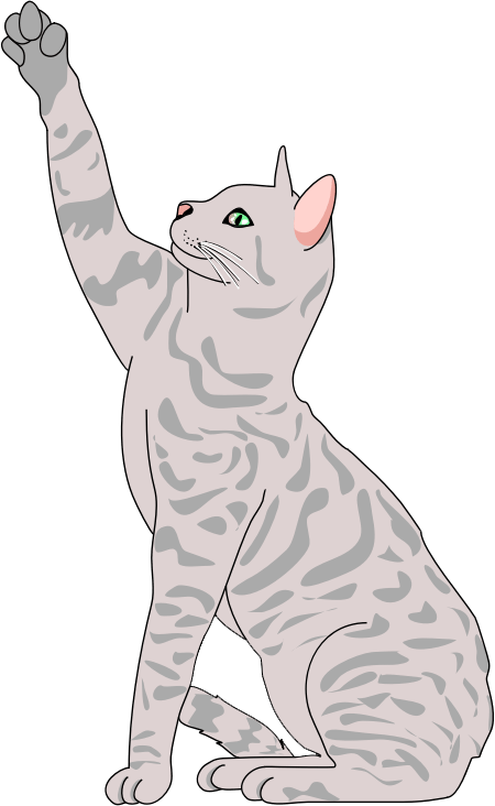 Cat PNG Clipart (28 Image) free png download