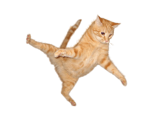 Cat PNG Clipart (28 Image) free png download
