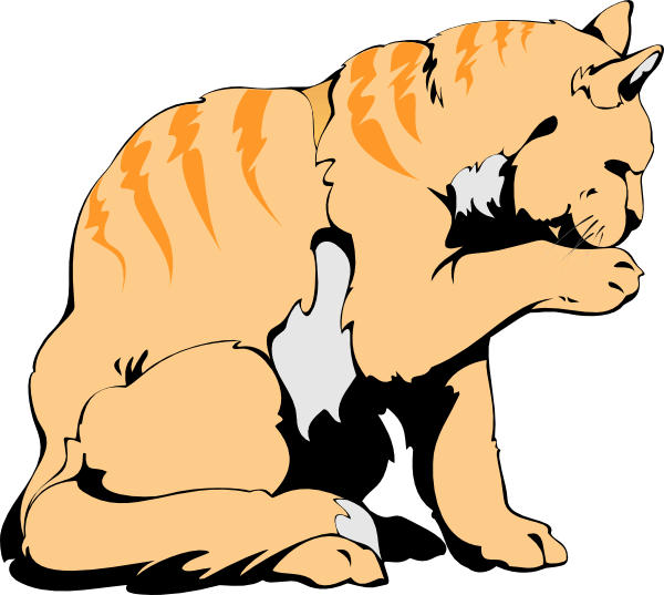 Cat PNG Clipart (28 Image) free png download