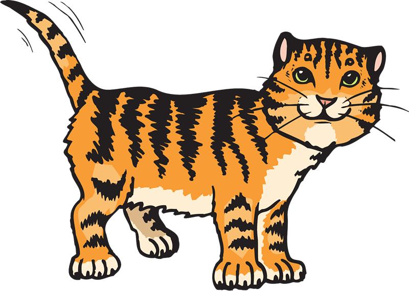 Cat PNG Clipart (28 Image) free png download
