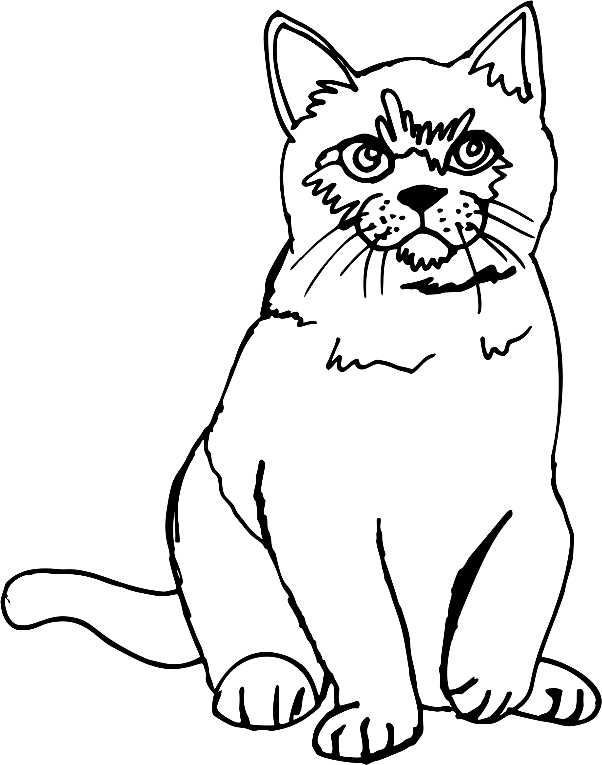 Cat PNG Clipart (28 Image) free png download