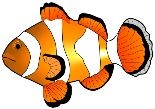 Fish Png Clipart (16 Image) free png download