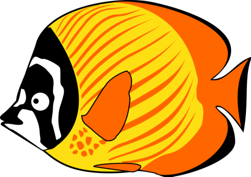 Fish Png Clipart (16 Image) free png download