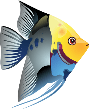 Fish Png Clipart (16 Image) free png download