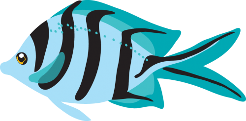 Fish Png Clipart (16 Image) free png download