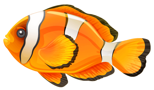 Fish Png Clipart (16 Image) free png download