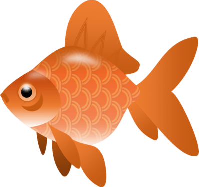 Fish Png Clipart (16 Image) free png download