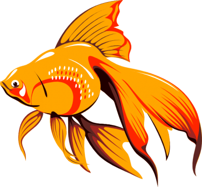 Fish Png Clipart (16 Image) free png download