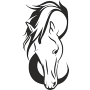 Horse Head Png Clipart (23 Image) free png download