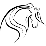 Horse Head Png Clipart (23 Image) free png download