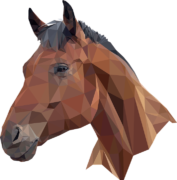 Horse Head Png Clipart (23 Image) free png download