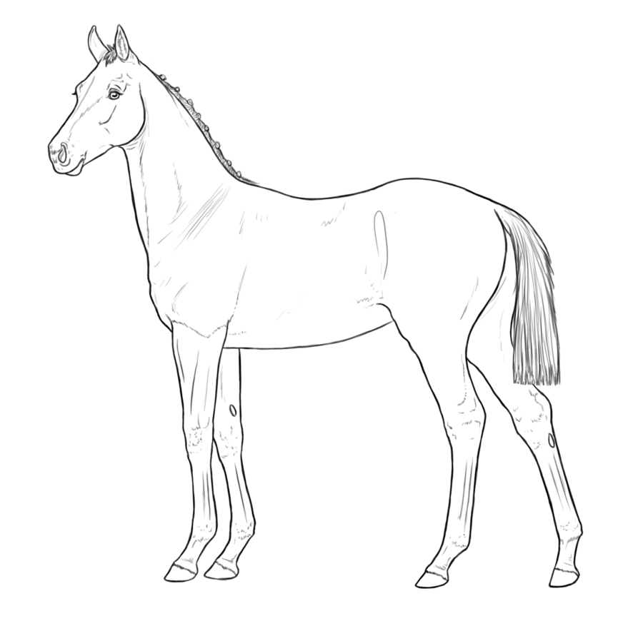 Horse PNG Clipart (24 Image) free png download