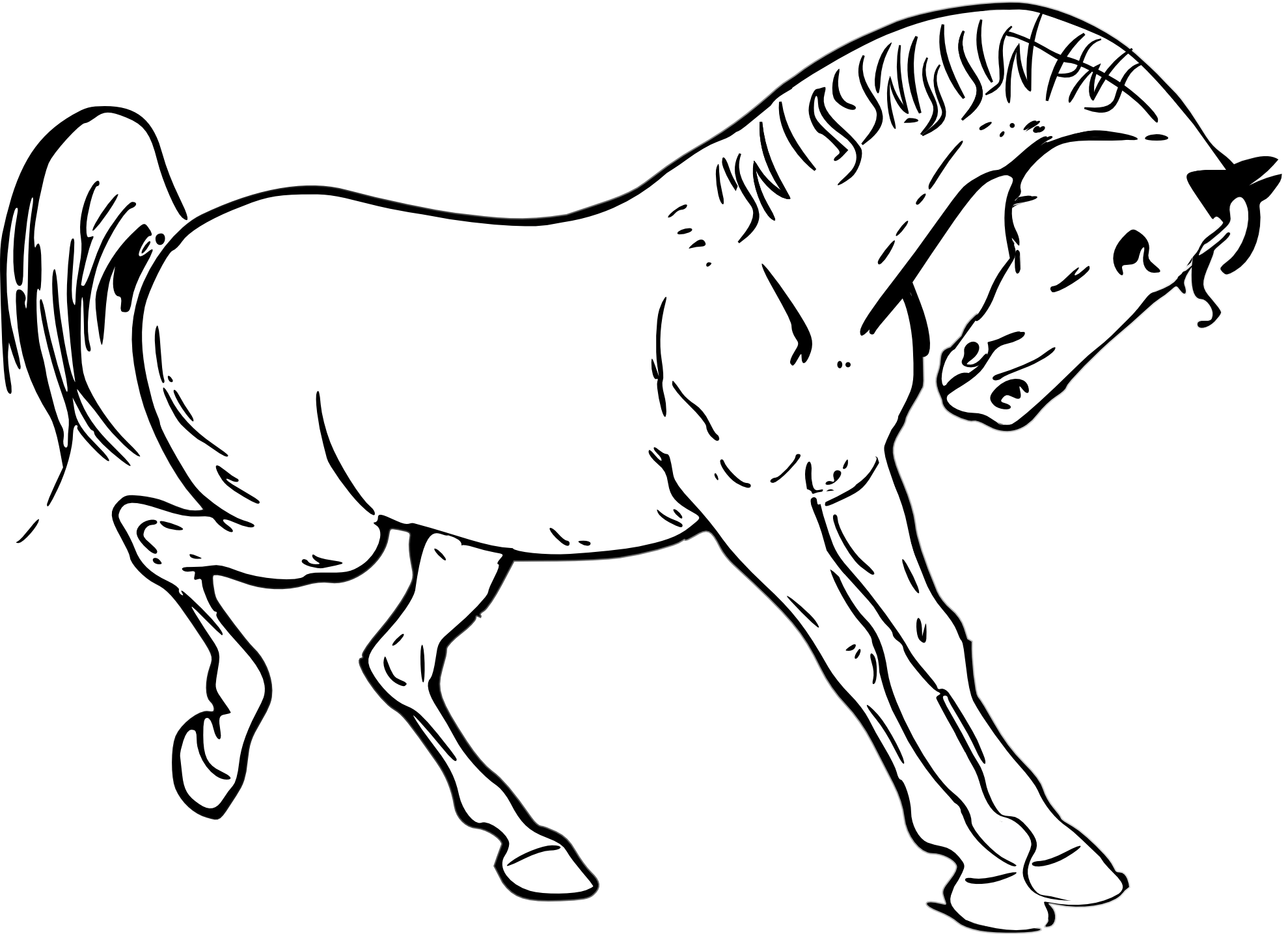 Horse PNG Clipart (24 Image) free png download