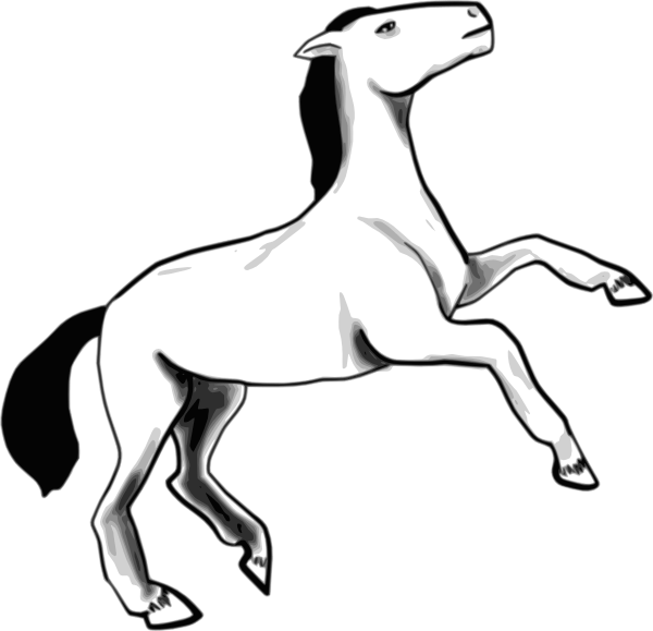 Horse PNG Clipart (24 Image) free png download