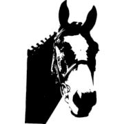 Horse Head Png Clipart (23 Image) free png download