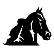 Horse Head Png Clipart (23 Image) free png download