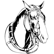 Horse Head Png Clipart (23 Image) free png download