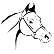 Horse Head Png Clipart (23 Image) free png download