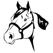 Horse Head Png Clipart (23 Image) free png download
