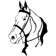 Horse Head Png Clipart (23 Image) free png download